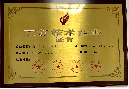 掷元科技